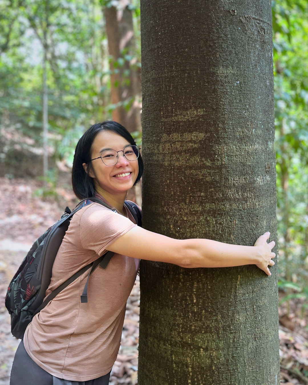 kahyeelestari hug tree