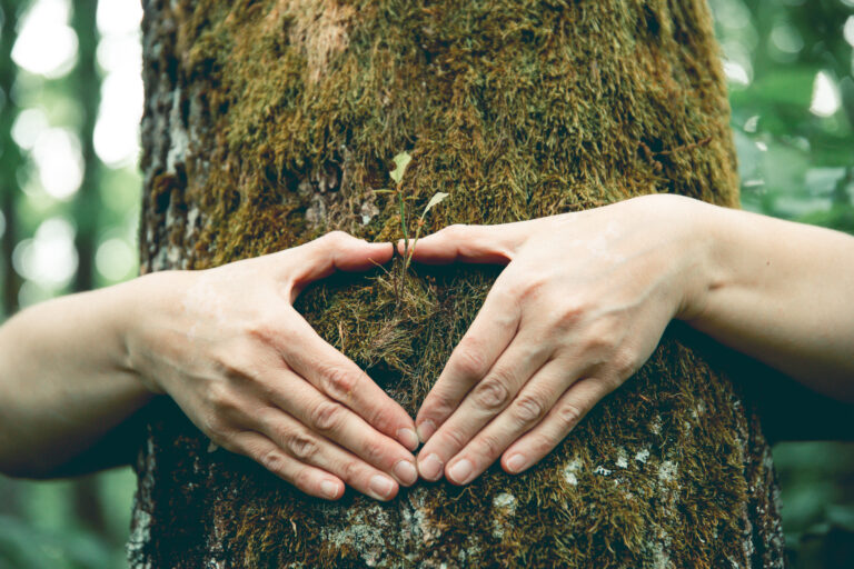nature lover hugging trunk tree nature loving, fight global wa